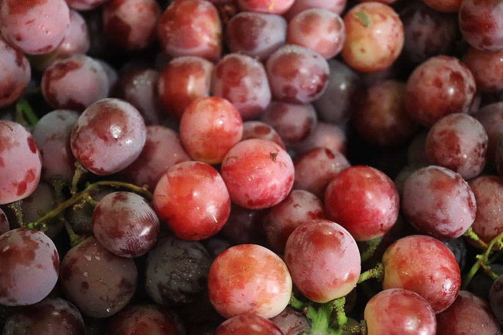 Grapes being prepared to store in refrigerator