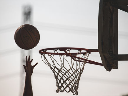 Chain Vs Polyester Nets: The Ultimate Decision