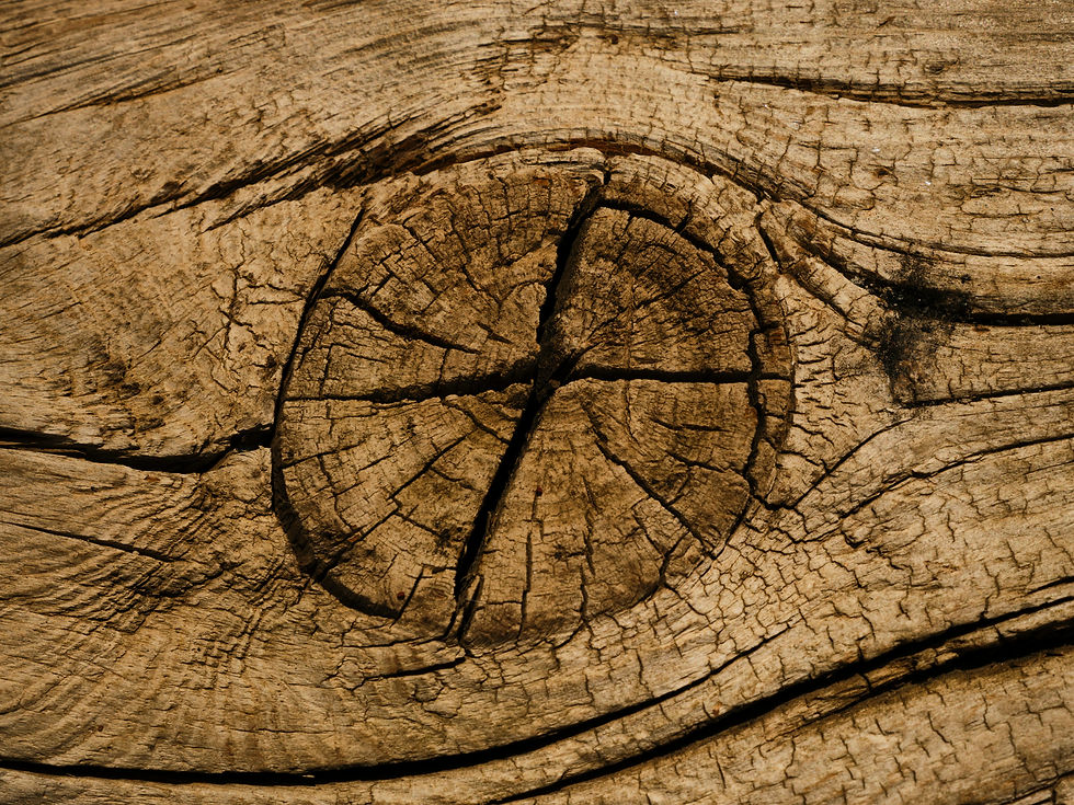 Image by engin akyurt