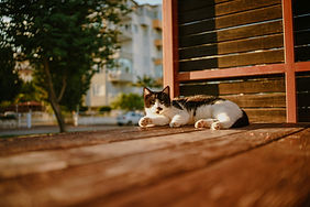 Image by Igor Sporynin