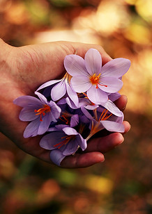 Image by Roberta Sorge