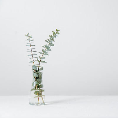 Image by Tim Chow