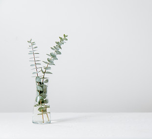 Image by Tim Chow