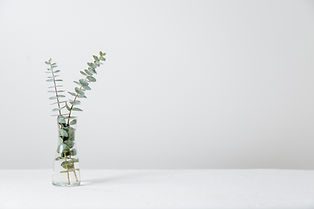 Image by Tim Chow