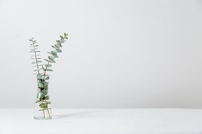 Image by Tim Chow