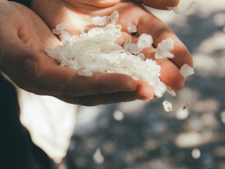 What The Hail Do You Do Now?