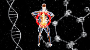 Neuromodulation bei Schmerzen – Eine Fortschrittliche Strategie zur Schmerzlinderung