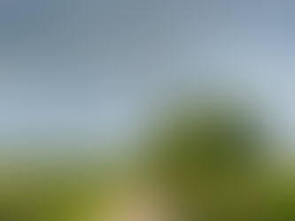 Arevon Wind Portfolio (Former Capital Dynamics)