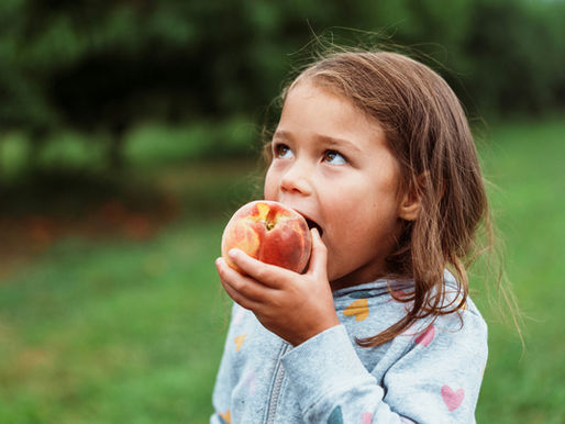 Yoga contemporâneo: prática sem promessa, transmissão sem salvação