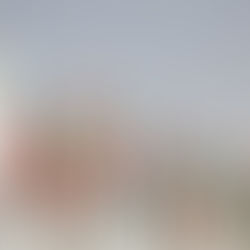 World leaders adopt a historic global declaration on noncommunicable diseases and mental health