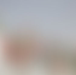 World leaders adopt a historic global declaration on noncommunicable diseases and mental health