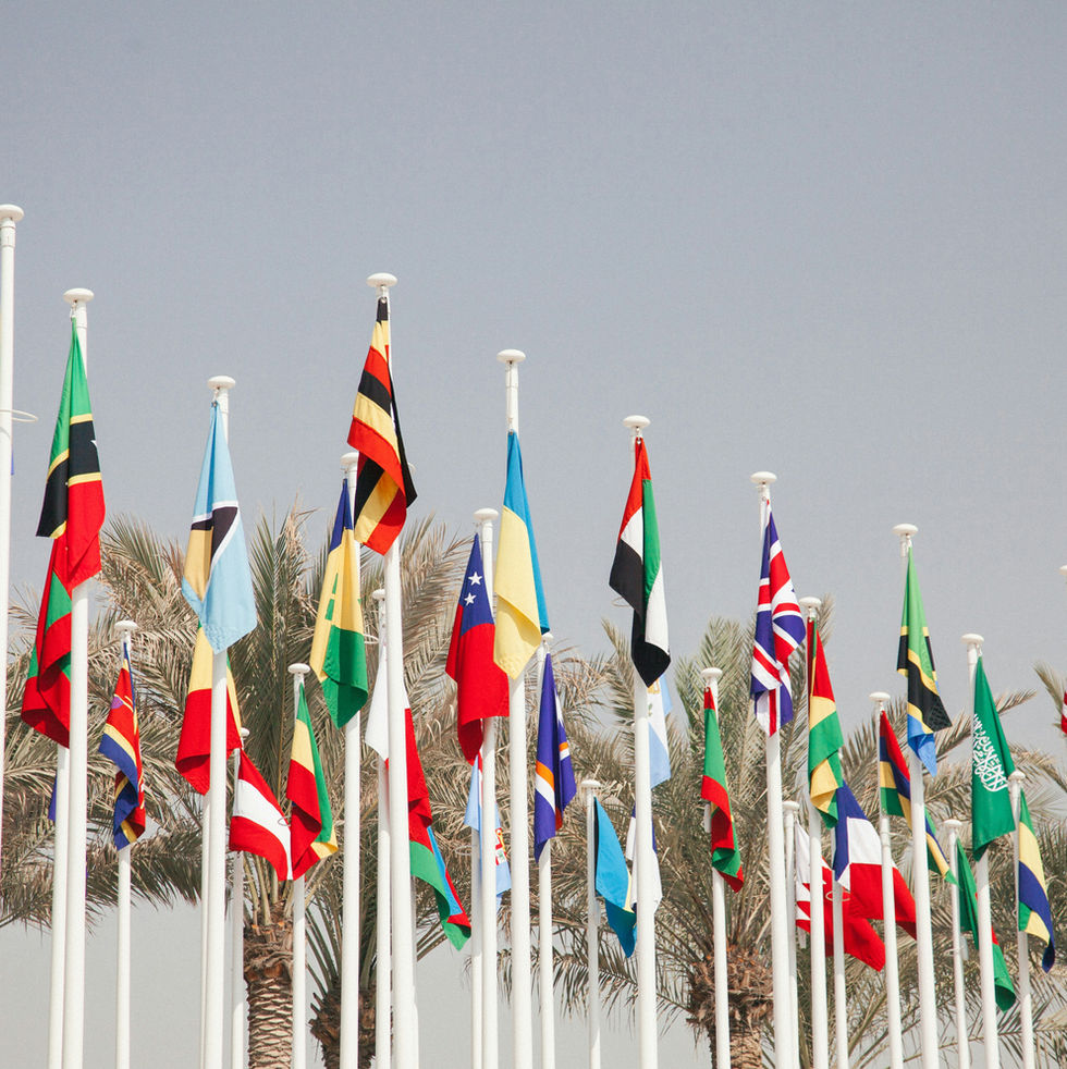 World leaders adopt a historic global declaration on noncommunicable diseases and mental health