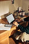 Image by Microsoft Copilot