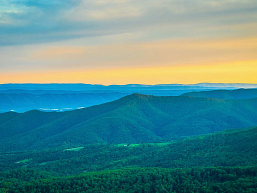 Marketing a Mossy Creek and Headwaters Trout Guide Service in the Shenandoah Valley
