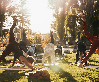 Image by Marea Wellness