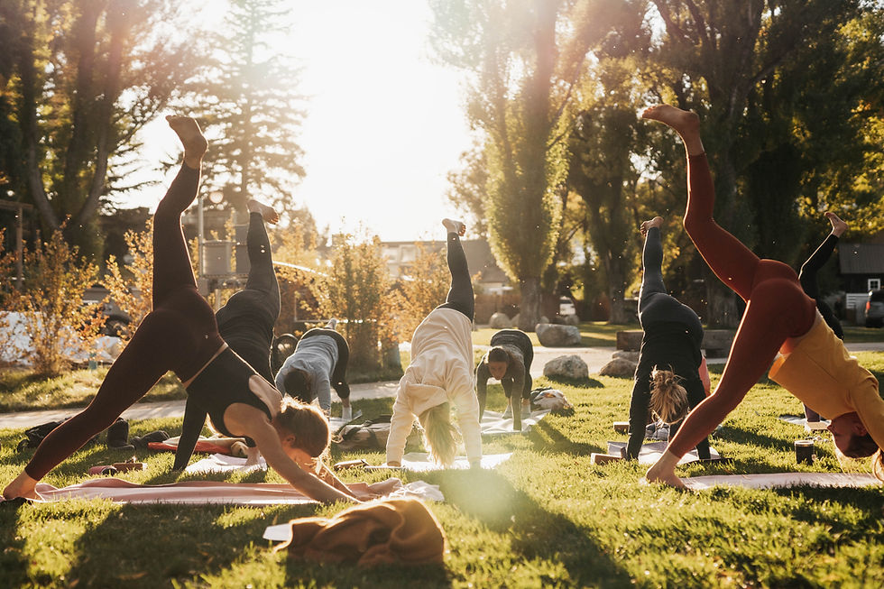 People doing yoga outdoors on grass, performing downward dog poses in sunlight. Trees and buildings in the background, creating a serene setting.