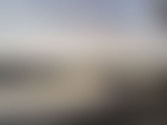 بين العقل والقلب