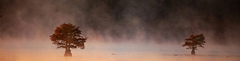 Image by Anthony Robinson