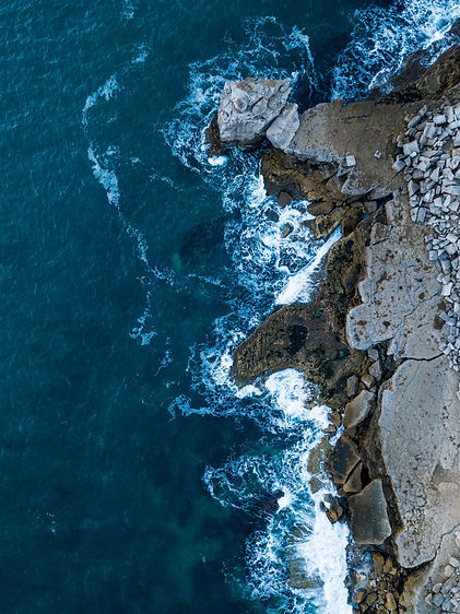 Image by Ryan Searle