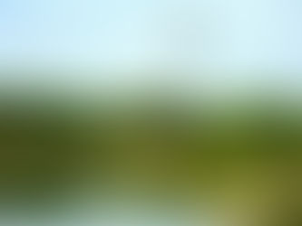 Water permit request for proposed golf course denied