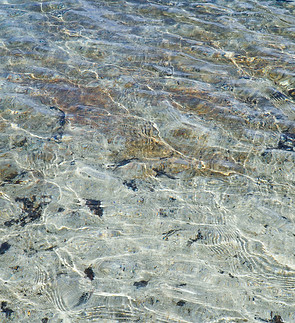 Billede af Joel Durkee