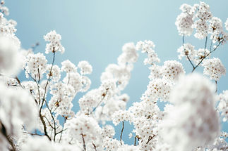 Image by Jorgen Hendriksen