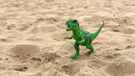 Dillon Public Library Offers Creative Fun, Family Activities, and a Dino Hunt This Week