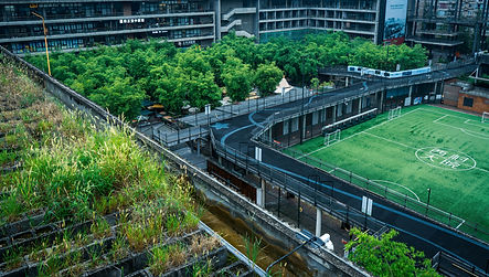 BROWNFIELD REGENERATION & REDEVELOPMENT