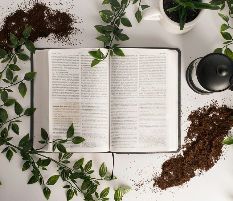 Image de Shelby Miller