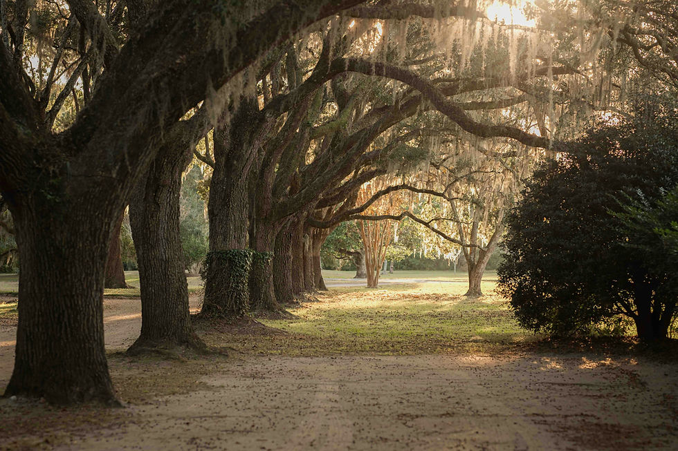 Image by Samantha Fortney