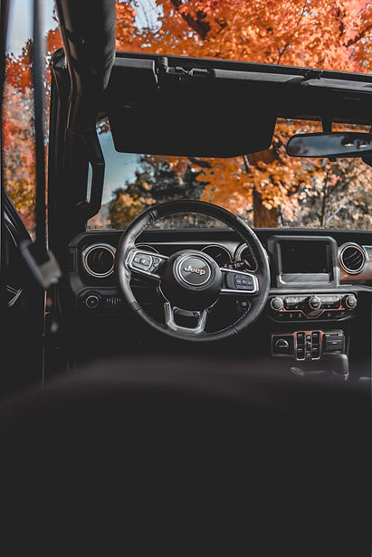 Image by Steven Binotto