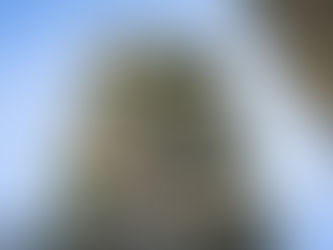 Armadura de el ahora