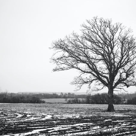 Cómo Funciona el Cerebro con Ansiedad: Una Perspectiva desde el Trauma