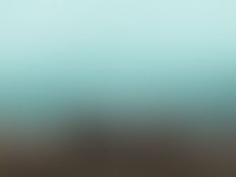 The Shepherds: Peace to Those on Whom God’s Favor Rests