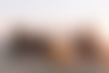 Evangelizing through Authentic Friendship