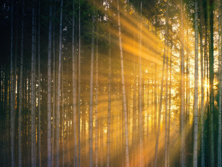 What Prosperity Looks Like in Practice