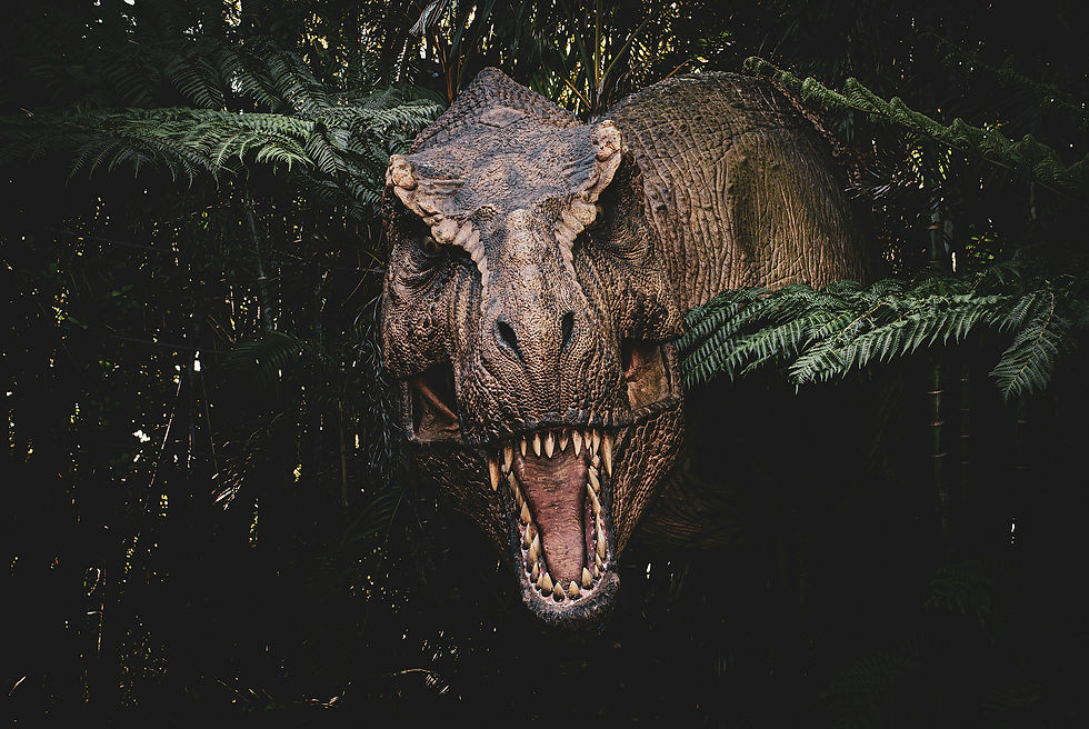 Image by Eric R.