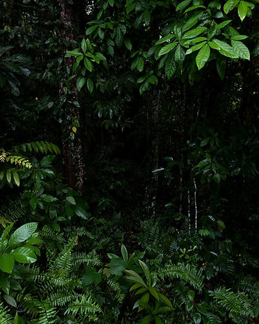 Image by Amos Tade