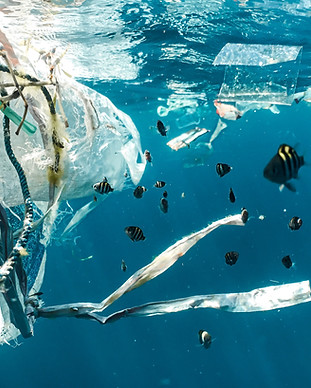 Image by Naja Bertolt Jensen