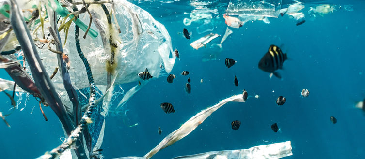 Mitmachen: Bye, Bye Plastik - Petition für starkes UN-Plastik-Abkommen
