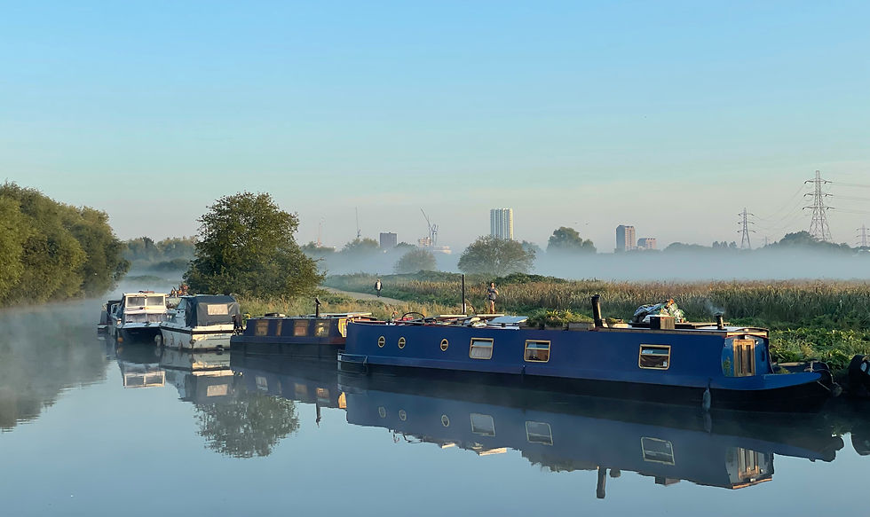 narrow boat surveys