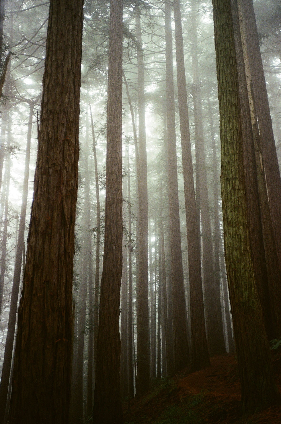 Image by Christopher Stites