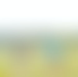 The Secret Season: Unlocking the Optimal Time to Build Your Golf Swing