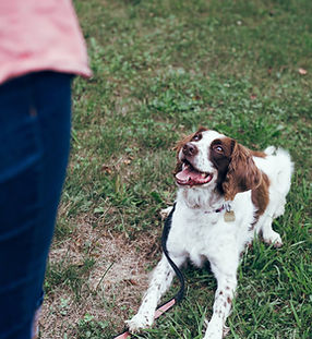 Image by Destiny Wiens
