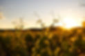Sonnenuntergang, Bildkeramik und Keramik Design für Wohnzimmer und Küche aus der Steiermark von Hafnermeister Jens Pittelkau