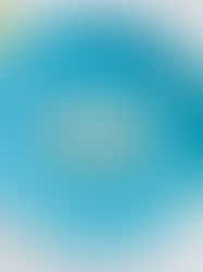 La mejor dieta para bajar de peso