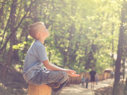 Vitamin D: A Photochemical Hormone at the Crossroads of Nature and Clinical Science