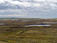 Global Peatlands Initiative puts overlooked wetlands at the centre of climate action