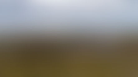 Global Peatlands Initiative puts overlooked wetlands at the centre of climate action
