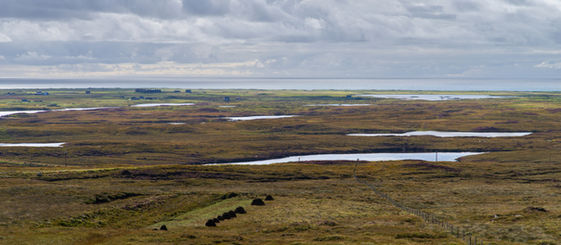 Global Peatlands Initiative puts overlooked wetlands at the centre of climate action